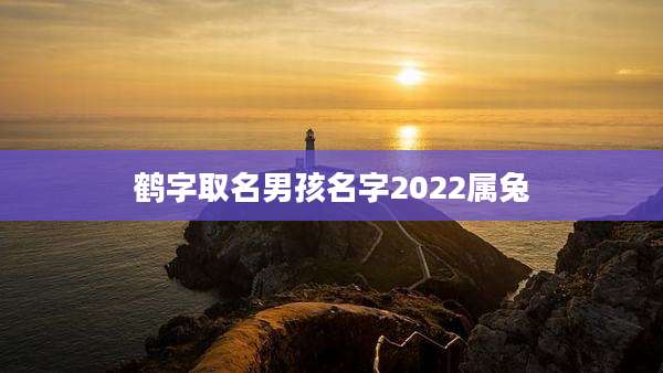 鹤字取名男孩名字2022属兔
