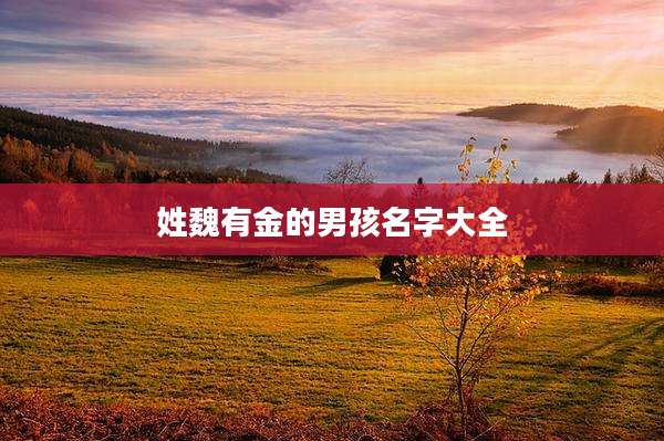 姓魏有金的男孩名字大全
