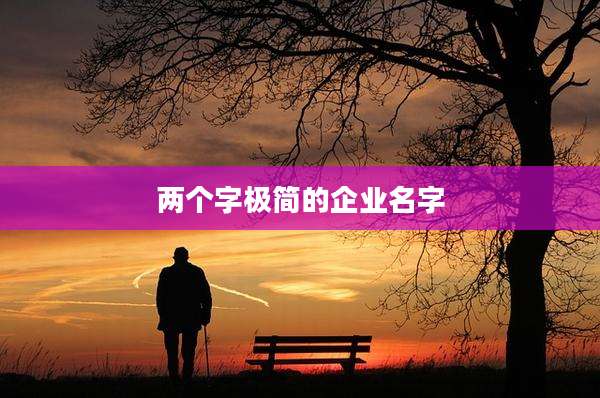 两个字极简的企业名字