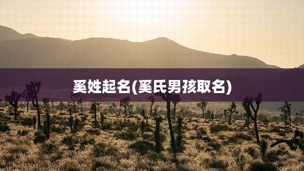 奚姓起名(奚氏男孩取名)