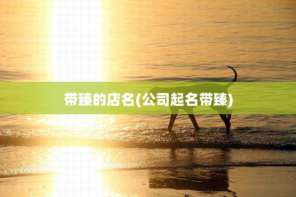 带臻的店名(公司起名带臻)