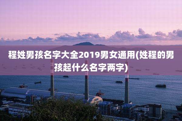 程姓男孩名字大全2019男女通用(姓程的男孩起什么名字两字)