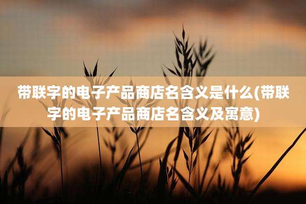 带联字的电子产品商店名含义是什么(带联字的电子产品商店名含义及寓意)