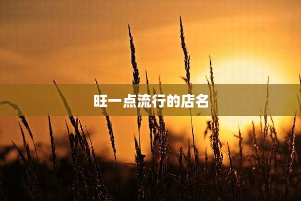 旺一点流行的店名