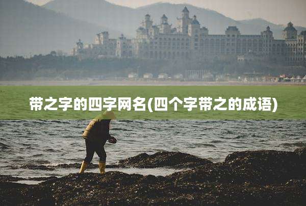 带之字的四字网名(四个字带之的成语)