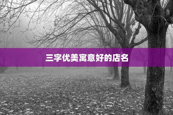三字优美寓意好的店名