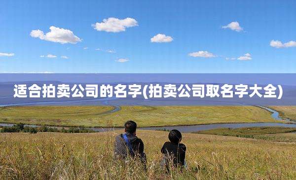 适合拍卖公司的名字(拍卖公司取名字大全)