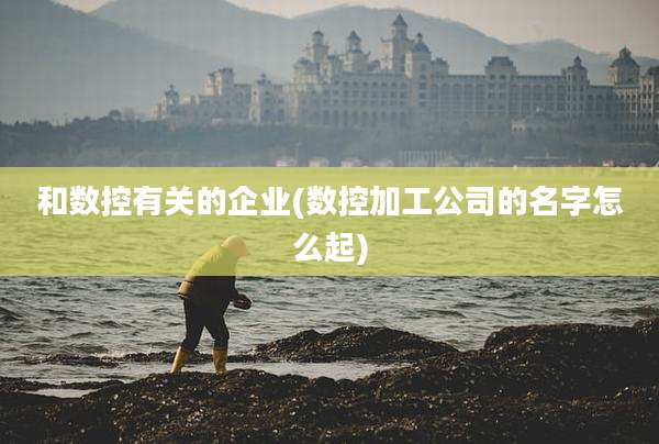 和数控有关的企业(数控加工公司的名字怎么起)