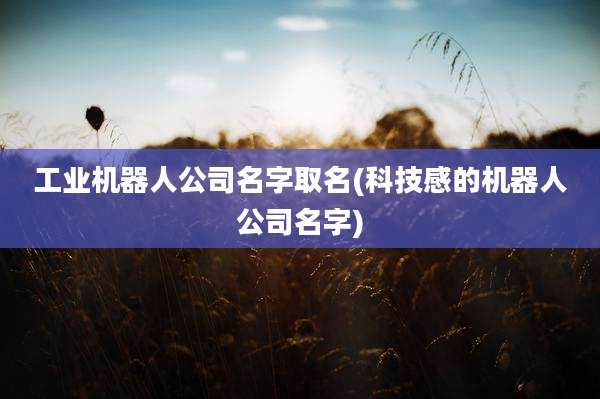 工业机器人公司名字取名(科技感的机器人公司名字)