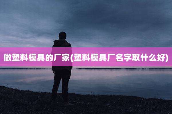 做塑料模具的厂家(塑料模具厂名字取什么好)