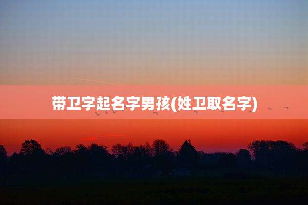 带卫字起名字男孩(姓卫取名字)