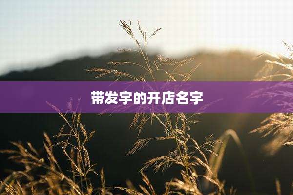 带发字的开店名字