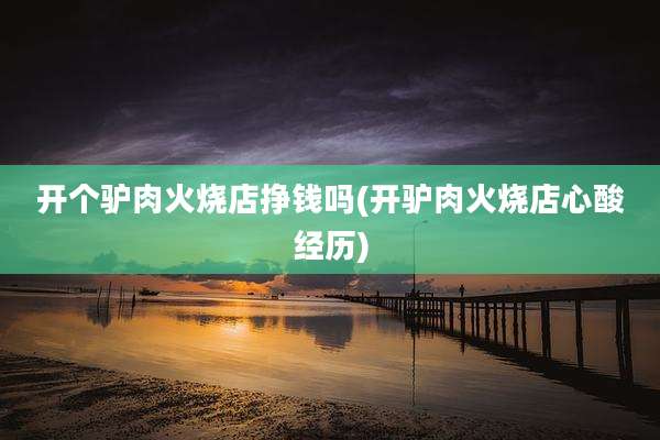 开个驴肉火烧店挣钱吗(开驴肉火烧店心酸经历)