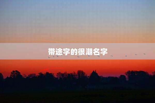 带途字的很潮名字