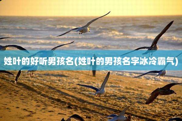 姓叶的好听男孩名(姓叶的男孩名字冰冷霸气)