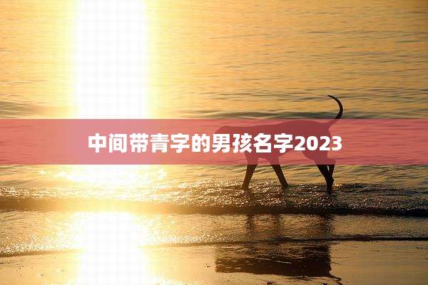 中间带青字的男孩名字2023