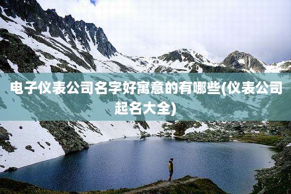 电子仪表公司名字好寓意的有哪些(仪表公司起名大全)