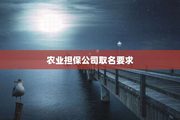 农业担保公司取名要求