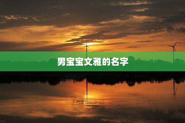 男宝宝文雅的名字