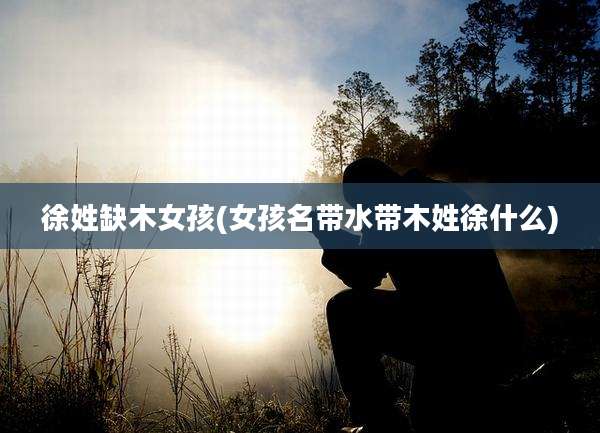 徐姓缺木女孩(女孩名带水带木姓徐什么)