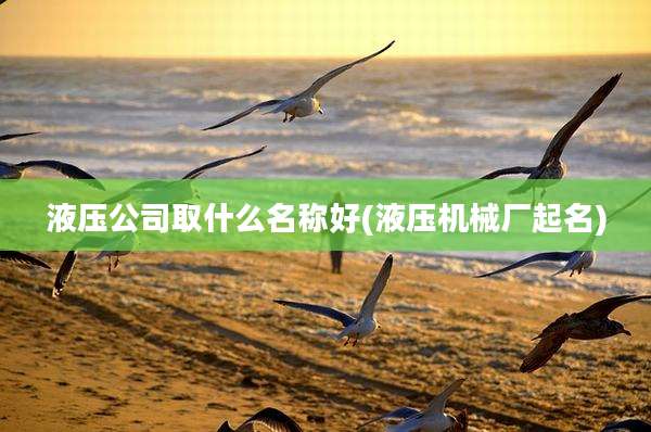 液压公司取什么名称好(液压机械厂起名)