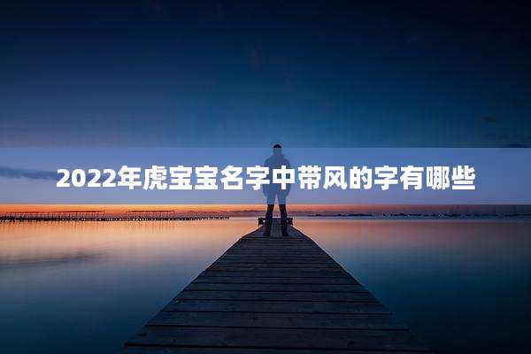 2022年虎宝宝名字中带风的字有哪些