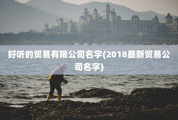 好听的贸易有限公司名字(2018最新贸易公司名字)