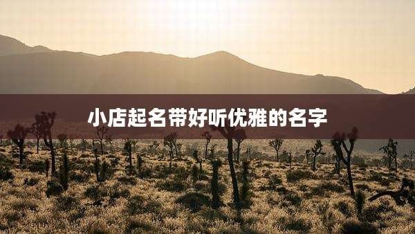 小店起名带好听优雅的名字