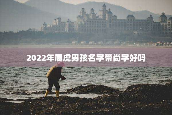 2022年属虎男孩名字带尚字好吗