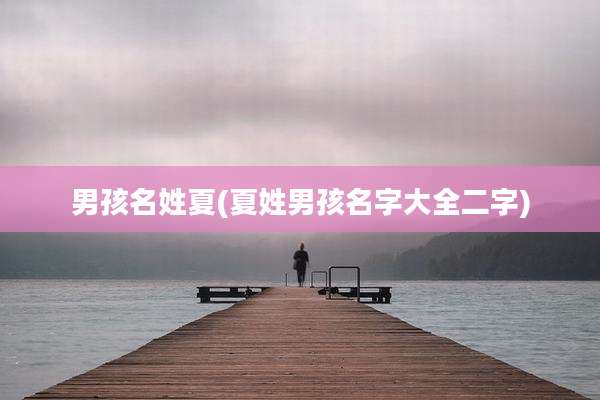 男孩名姓夏(夏姓男孩名字大全二字)