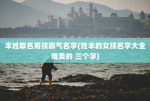 丰姓取名男孩霸气名字(姓丰的女孩名字大全唯美的 三个字)