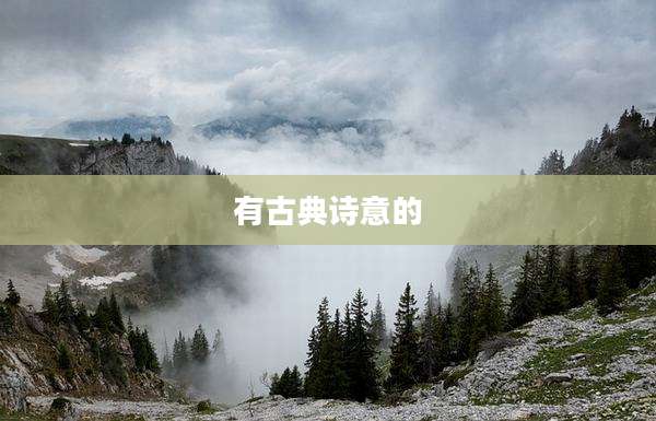 有古典诗意的