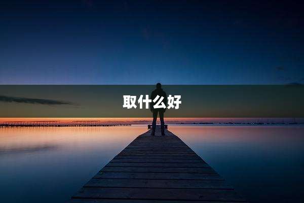 取什么好