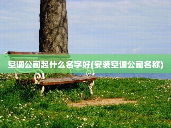 空调公司起什么名字好(安装空调公司名称)