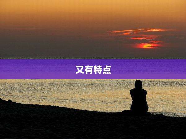 又有特点
