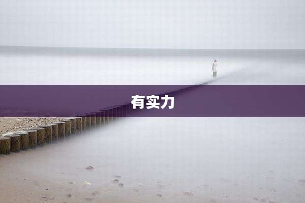 有实力