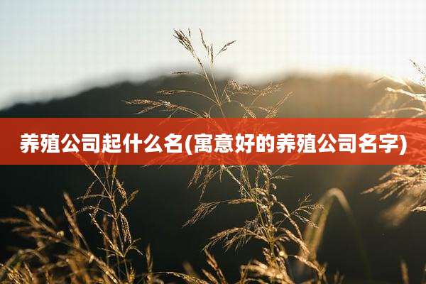 养殖公司起什么名(寓意好的养殖公司名字)