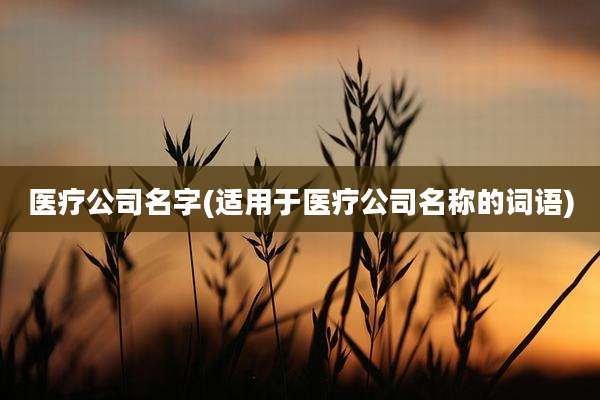 医疗公司名字(适用于医疗公司名称的词语)