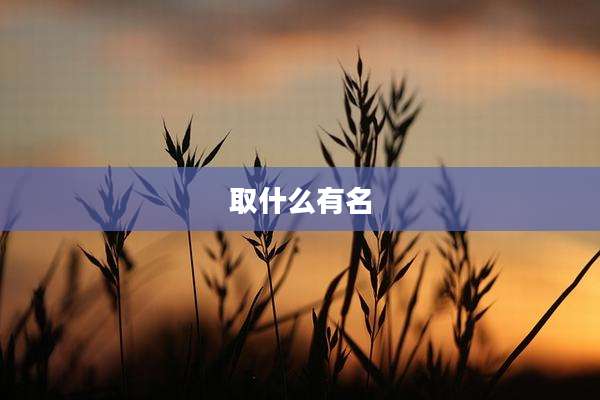 取什么有名