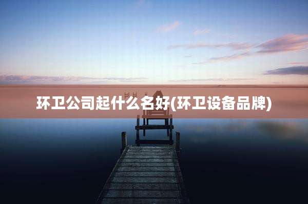 环卫公司起什么名好(环卫设备品牌)