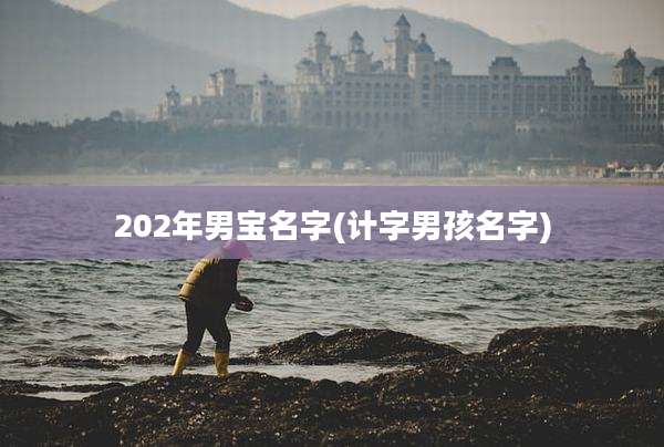 202年男宝名字(计字男孩名字)