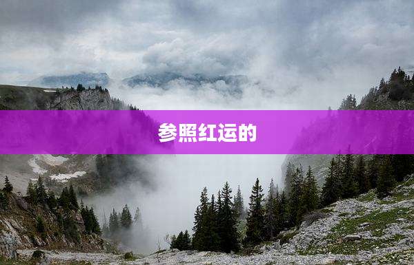 参照红运的