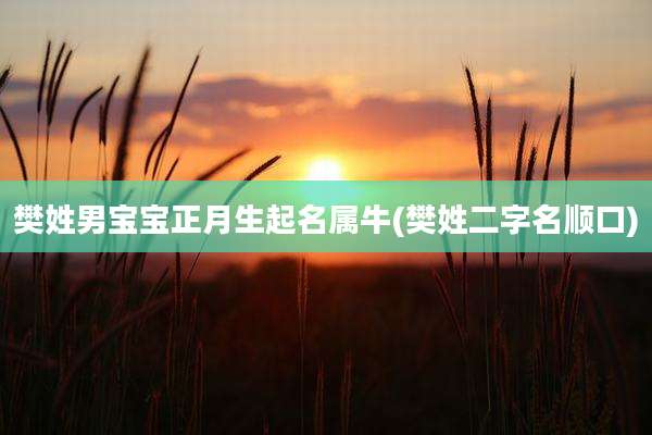 樊姓男宝宝正月生起名属牛(樊姓二字名顺口)