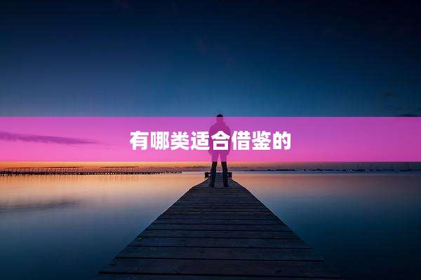 有哪类适合借鉴的