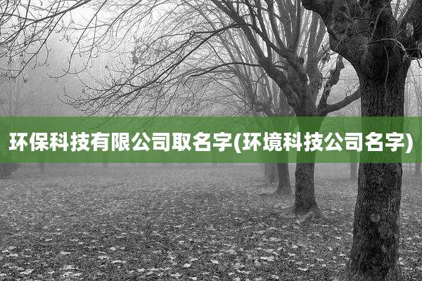 环保科技有限公司取名字(环境科技公司名字)