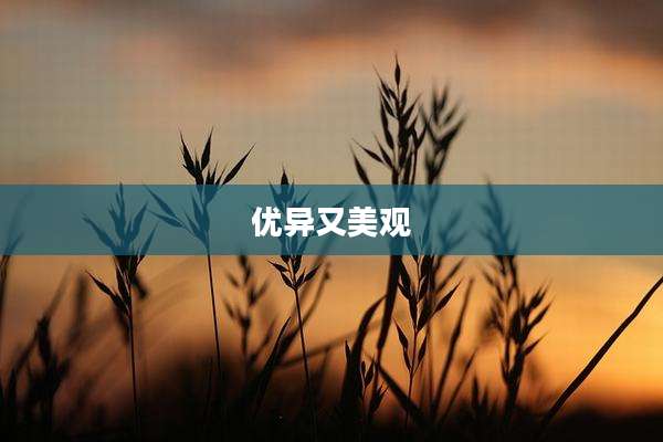 优异又美观