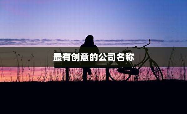最有创意的公司名称