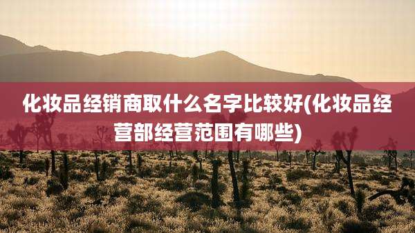 化妆品经销商取什么名字比较好(化妆品经营部经营范围有哪些)