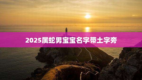 2025属蛇男宝宝名字带土字旁