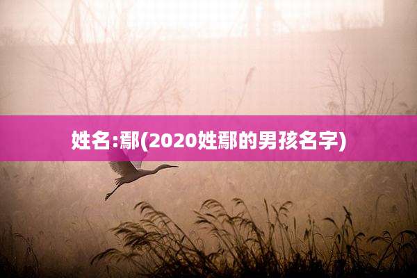 姓名:鄢(2020姓鄢的男孩名字)
